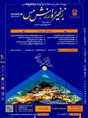 رویداد ملی ایده های نواورانه و فناورانه در زنجیره ارزش مس